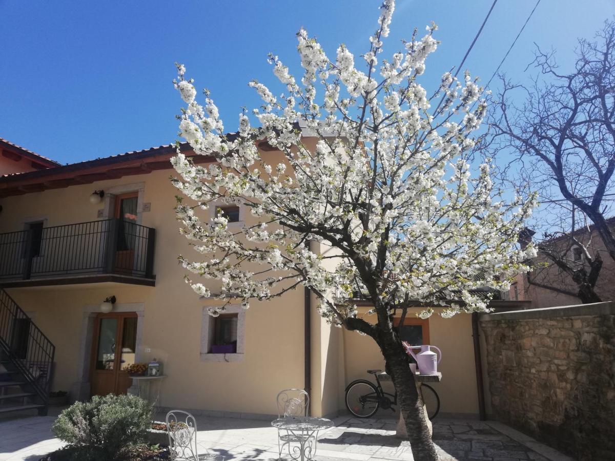 Bed & Breakfast Barbara Borgo Grotta Gigante Exterior foto