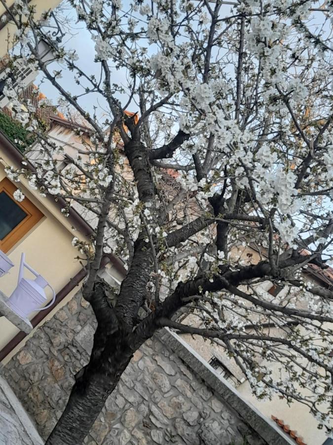 Bed & Breakfast Barbara Borgo Grotta Gigante Exterior foto